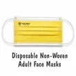 Custom Printed Disposable Adult Face Masks | https://www.bestnamebadges.com