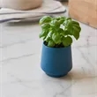 Modern Sprout® Rooted Candle | https://www.bestnamebadges.com