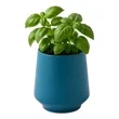 Modern Sprout® Rooted Candle | https://www.bestnamebadges.com