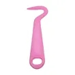 Small Plastic Horse Hoof Pick W/ Hanging Hole 5"x1.6" | https://www.bestnamebadges.com