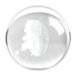 Shining Optical Crystal Orb Sphere Award | https://www.bestnamebadges.com