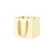 Matte Laminated Paper Gift Tote Bag W/Ribbon Handle | https://www.bestnamebadges.com