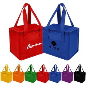 6 Cans Non woven Insulated Cooler Bag w/ Zipper&Handle