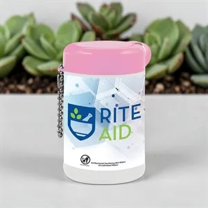 30 Individual Antibacterial Wet Tek-Wipes
