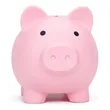 Piggy Unbreakable Plastic Bank | https://www.bestnamebadges.com