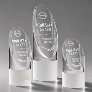 Faccini Award