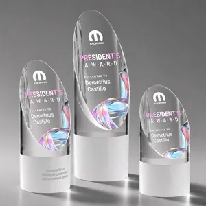 Faccini VividPrint™ Award