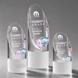 Faccini VividPrint™ Award | https://www.bestnamebadges.com
