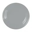 Garyline® Recycled 9" Flyer | https://www.bestnamebadges.com