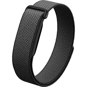 Google Fitbit Air