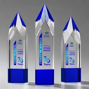 Coventry VividPrint™ Award - Blue