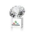Diamond on Cube VividPrint™ Award | https://www.bestnamebadges.com