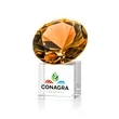 Amber on Cube VividPrint™ Award | https://www.bestnamebadges.com