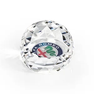 Driscoll VividPrint™ Paperweight - Clear