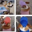 Outdoor Adjustable Pet Sun Protection Hat | https://www.bestnamebadges.com