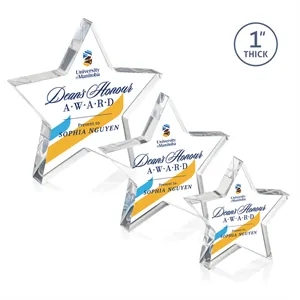 Copeland Star VividPrint™ Award