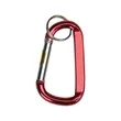 Large Anodized Carabiner Keyring | https://www.bestnamebadges.com