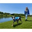 Paws & Claws Reflective Pet Vest (Large) | https://www.bestnamebadges.com