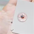 Tick Remover Card | https://www.bestnamebadges.com