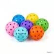 40 Hole Pickleball Practice Ball | https://www.bestnamebadges.com