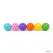 40 Hole Pickleball Practice Ball | https://www.bestnamebadges.com