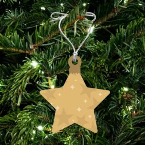 Acrylic Star Ornament