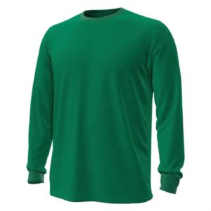 Under Armour Men's Performance Cotton Long Sleeve Tee