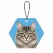 Customized Pet Air Freshener | https://www.bestnamebadges.com