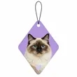 Customized Pet Air Freshener | https://www.bestnamebadges.com