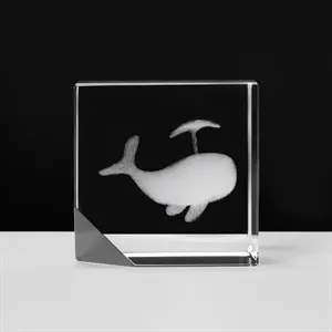 Stand Corner Cube 3D Optical Crystal Award