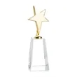 Tuscany Gold Star on Novita Base - Clear | https://www.bestnamebadges.com