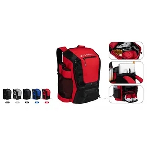 Ace Baseball Bag