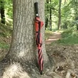 48" Arc Windproof Vented Automatic Umbrella | https://www.bestnamebadges.com
