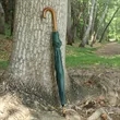 48" Arc Umbrella With Hook Handle | https://www.bestnamebadges.com