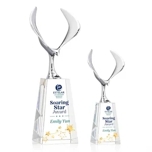 Maverick Eagle VividPrint™ Award on Novita Base - Clear