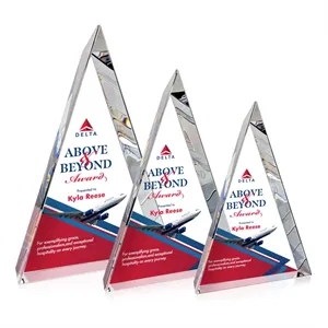 Wittington VividPrint™ Award
