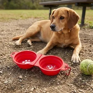 Dual Collapsible Pet Bowl