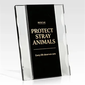 Two Tone Modern Clear Crystal Trophy Award W/ Stand