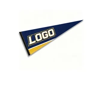ZO027 Felt Pennant