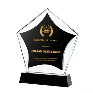 Crystal Star Recognition Award