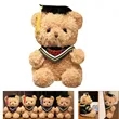 Graduation Teddy Bear | https://www.bestnamebadges.com