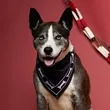 Paws & Claws Pet Bandana | https://www.bestnamebadges.com
