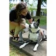 AquaPup Dog Water Bottle 10oz | https://www.bestnamebadges.com