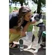 AquaPup Dog Water Bottle 10oz | https://www.bestnamebadges.com