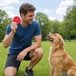 2.5" Round Soft Silicone Dog Flying Discs Toy | https://www.bestnamebadges.com