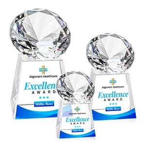 Fortino VividPrint™ Award - Diamond