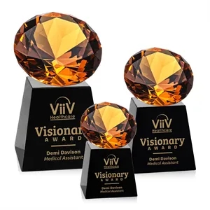Fortino Award - Black/Amber