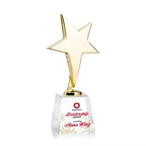 Tuscany Gold Star VividPrint™ Award on Fortino Base - Clear