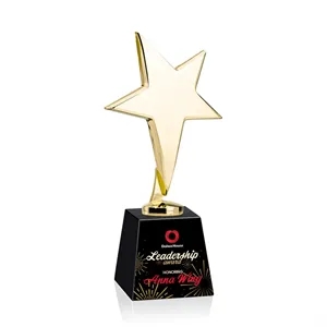 Tuscany Gold Star VividPrint™ Award on Fortino Base - Black