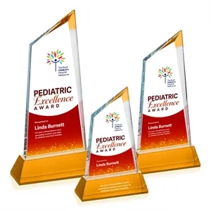Sandown VividPrint™ Award on Newhaven Base - Amber